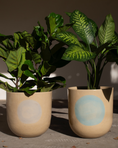 Load image into Gallery viewer, Midi Planter
